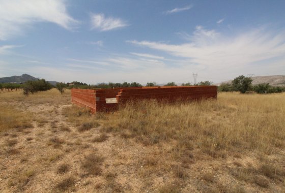 land - Resale - Biar - Biar Centro