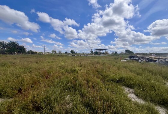 land - Resale - Catral - Catral Centro