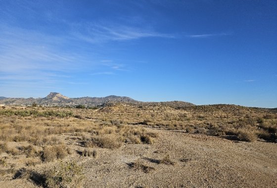 land - Resale - Elda -
                Elda Centro