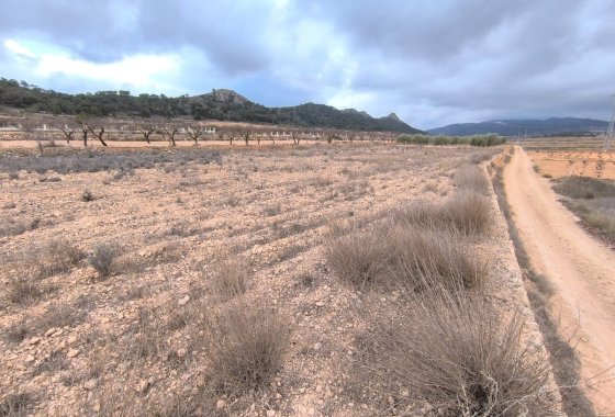 land - Resale - Jalón -
                La Solana