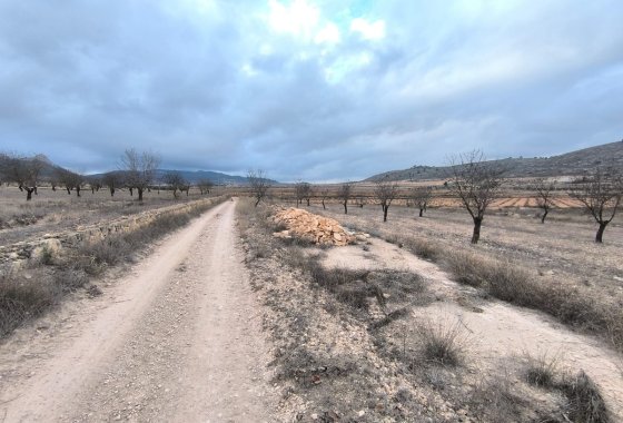 land - Resale - Jalón - La Solana