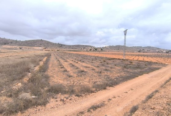 land - Resale - Jalón -
                La Solana
