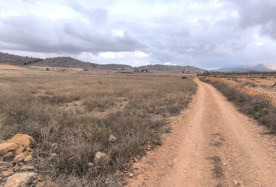 land - Resale - Jalón - La Solana