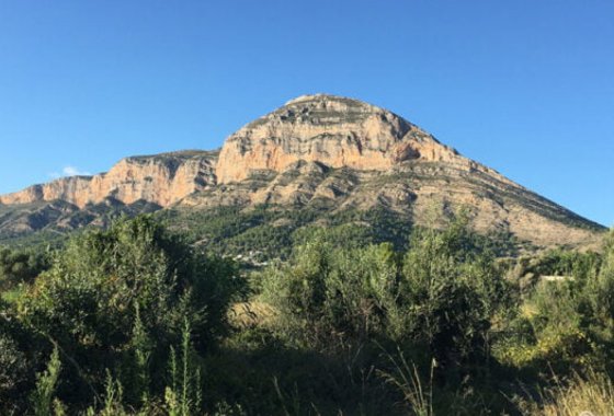 land - Resale - Jávea - Xàbia - Jávea - Xàbia Centro