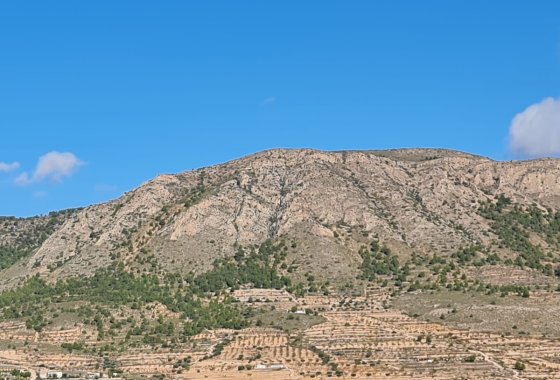 land - Resale - La Romana - La Romana Centro