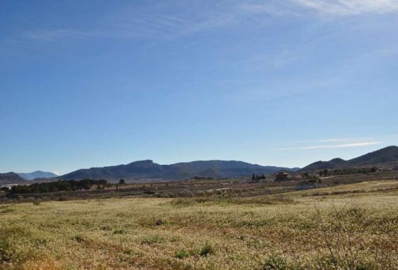 land - Resale - Monóvar - Monòver - Chinorlet