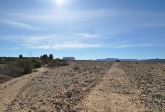 land - Resale - Monóvar - Monòver - Monóvar - Monòver Centro