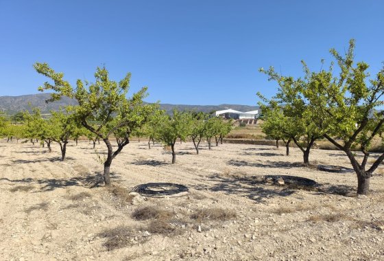 land - Resale - Monóvar - Monòver -
                Monóvar - Monòver Centro