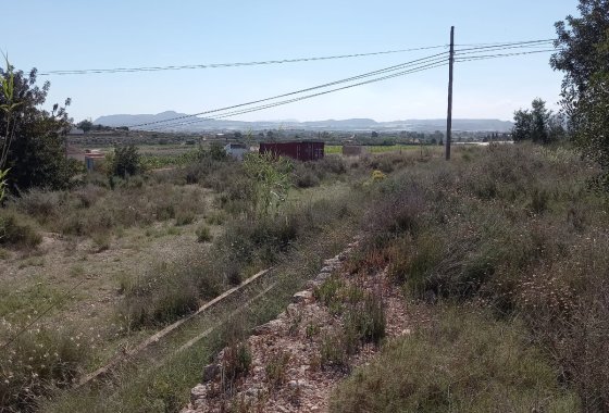 land - Resale - Novelda - Novelda Centro