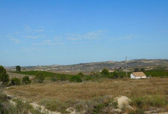 land - Resale - Orihuela - Torremendo