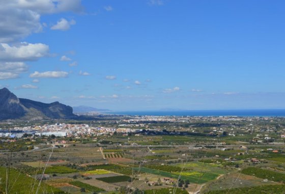 land - Resale - Pedreguer - Pedreguer Centro