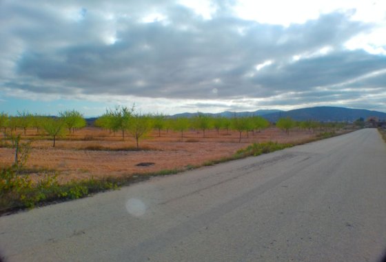 land - Resale - Pinoso - Pinoso Centro