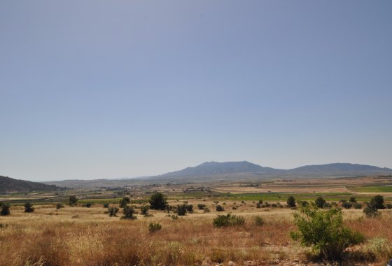 land - Resale - Pinoso -
                Pinoso Centro