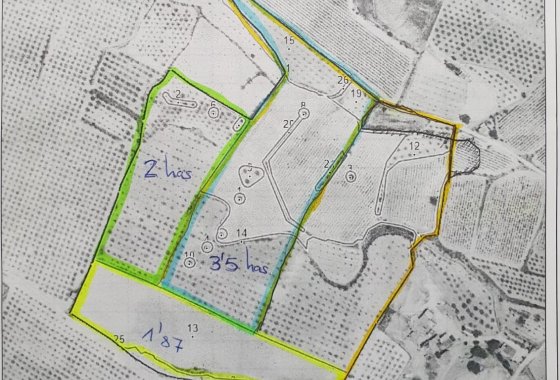 land - Resale - Pinoso - Pinoso Centro