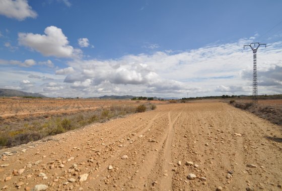 land - Resale - Pinoso - Pinoso Centro