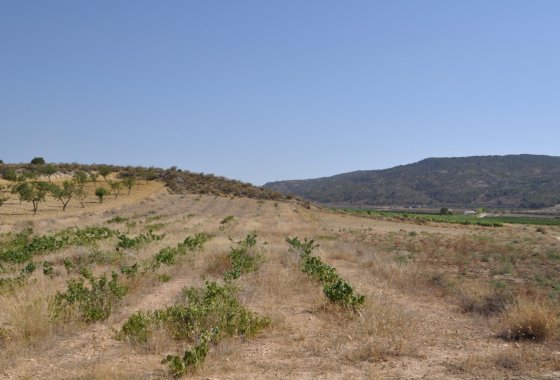 land - Resale - Pinoso - Pinoso Centro