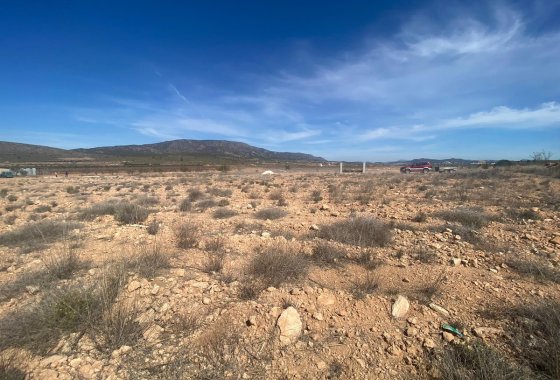 land - Resale - Pinoso - Pinoso Centro