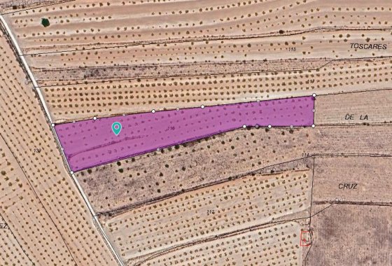 land - Resale - Pinoso - Pinoso Centro