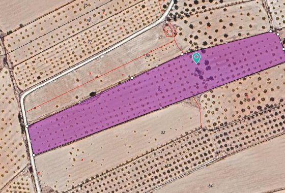 land - Resale - Pinoso - Pinoso Centro