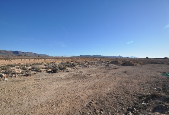 land - Resale - Pinoso - Pinoso Centro