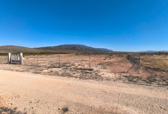land - Resale - Pinoso -
                Pinoso Centro