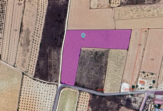 land - Resale - Pinoso - Pinoso Centro