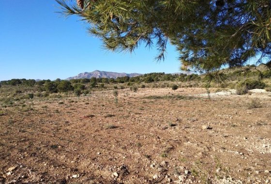 land - Resale - Relleu - Relleu Centro