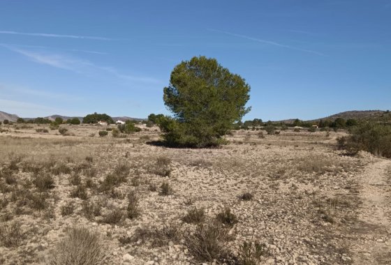 land - Resale - Salinas -
                Salinas Centro