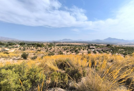 land - Resale - Sax -
                Sax Centro