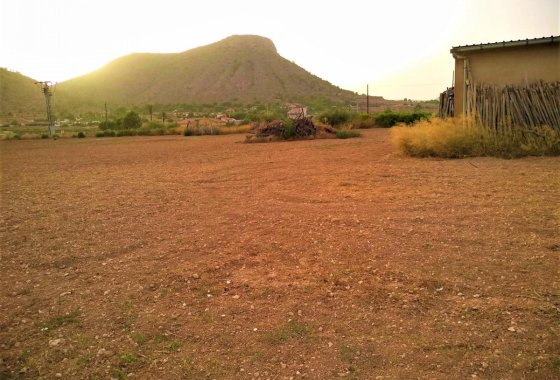 land - Reventa - Aspe - Aspe Centro