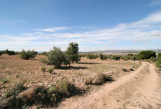 land - Reventa - Biar - Biar Centro