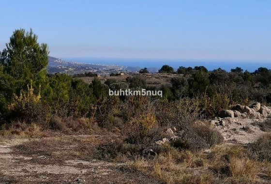 land - Reventa - Jalón - Bernia