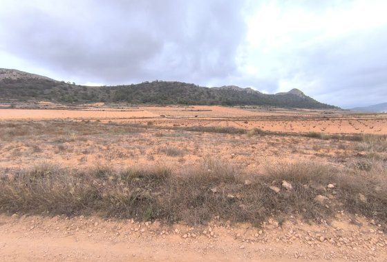 land - Reventa - Jalón -
                La Solana