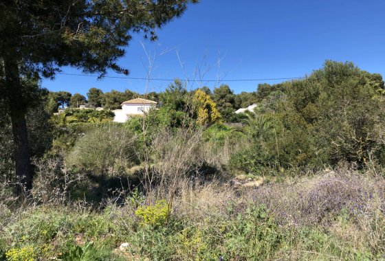 land - Reventa - Jávea - Xàbia - Jávea - Xàbia Centro