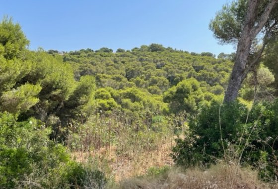 land - Reventa - Jávea - Xàbia - Jávea - Xàbia Centro