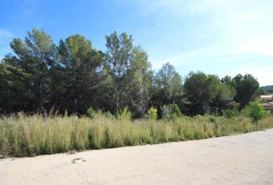land - Reventa - Jávea - Xàbia - Pinosol