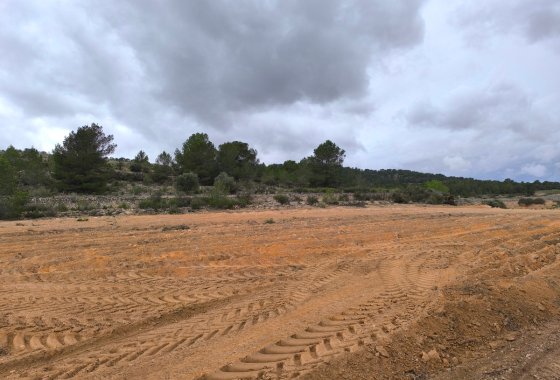 land - Reventa - Monóvar - Monòver -
                Chinorlet