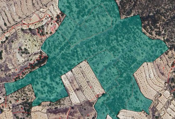 land - Reventa - Monóvar - Monòver - Monóvar - Monòver Centro