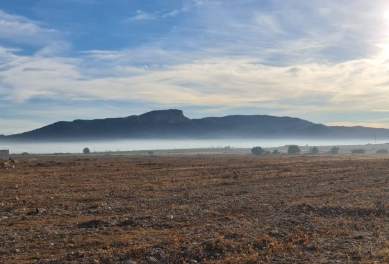 land - Reventa - Monóvar - Monòver - Monóvar - Monòver Centro