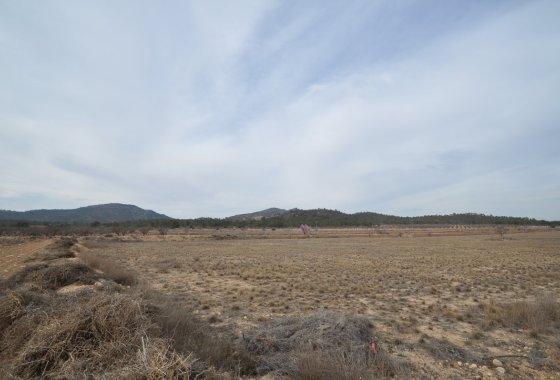 land - Reventa - Monóvar - Monòver - Monóvar - Monòver Centro