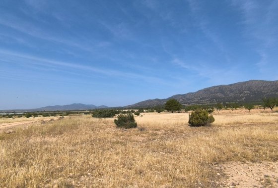 land - Reventa - Monóvar - Monòver - Monóvar - Monòver Centro