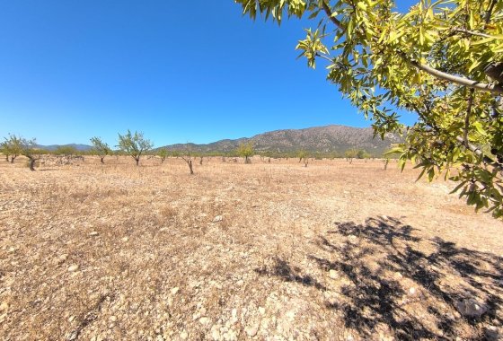 land - Reventa - Monóvar - Monòver - Monóvar - Monòver Centro