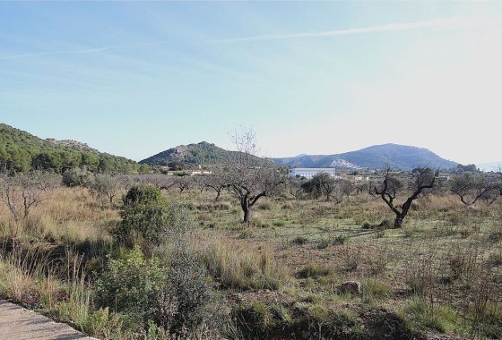 land - Reventa - Murla - Murla