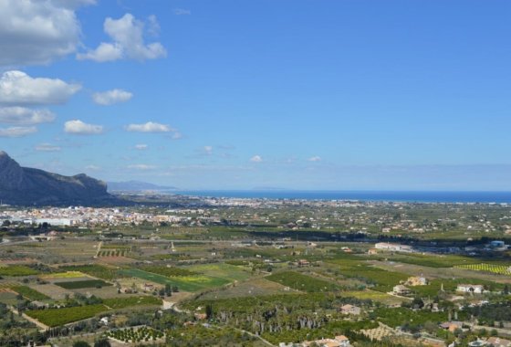 land - Reventa - Pedreguer - Pedreguer Centro