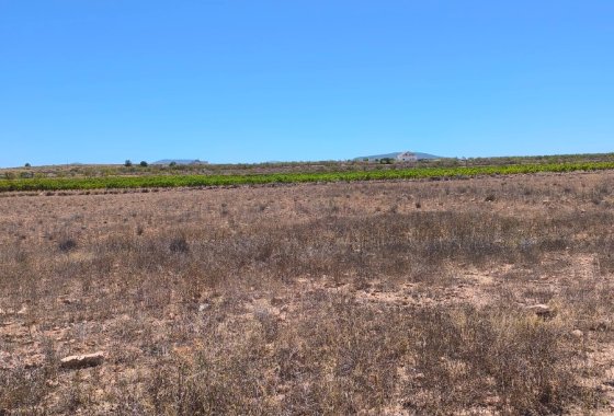 land - Reventa - Pinoso - Lel