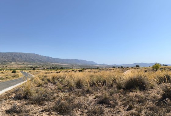 land - Reventa - Pinoso - Lel