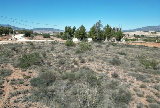 land - Reventa - Pinoso - Pinoso Centro