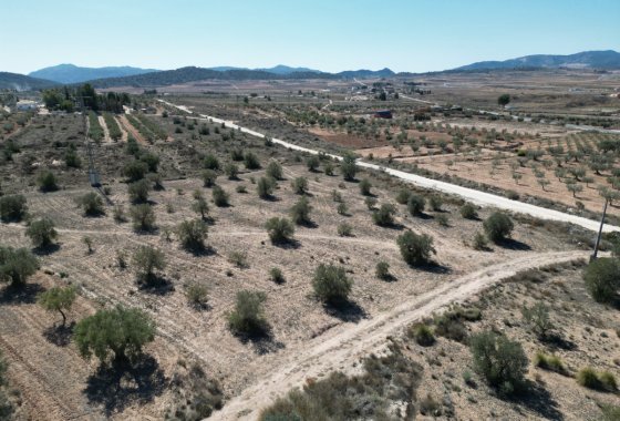 land - Reventa - Pinoso - Pinoso Centro