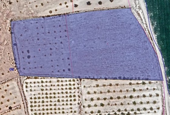 land - Reventa - Pinoso -
                Pinoso Centro