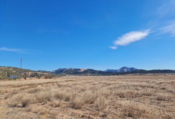 land - Reventa - Pinoso - Pinoso Centro
